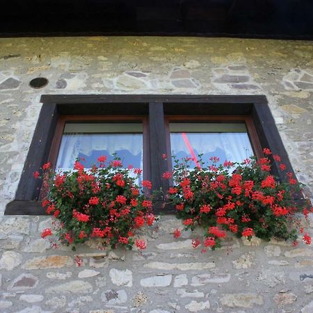 Villa Genziana Ovaro Esterno foto