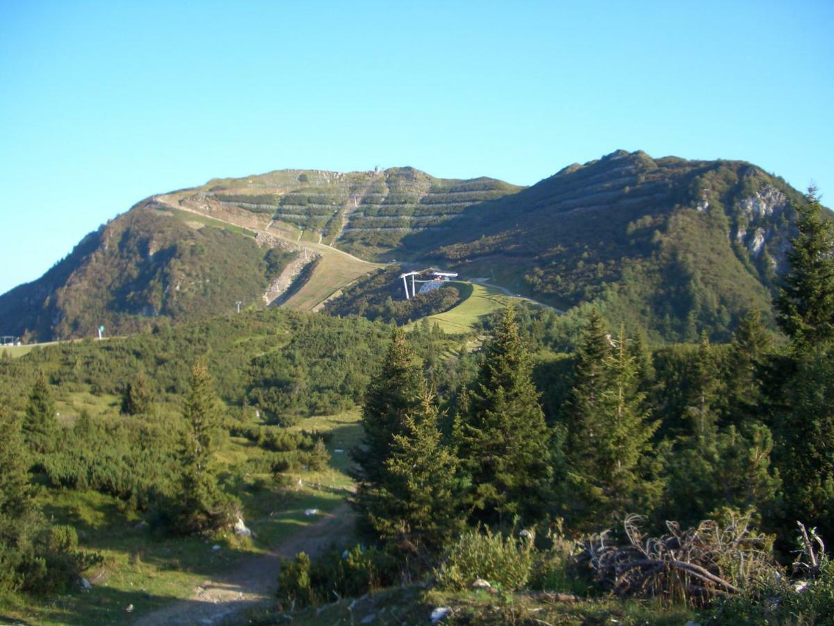 Villa Genziana Ovaro Esterno foto